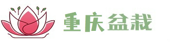 重庆休闲耍耍桑拿推荐网!
